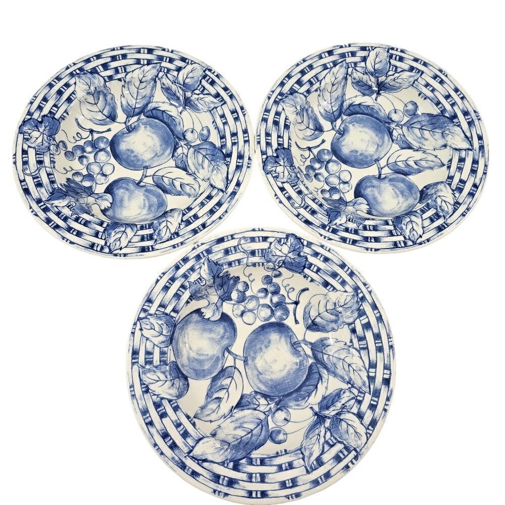 Pier 1 Imports Blue & White Fruit Basket Weave Rim Salad Pasta Bowls - Set of 3